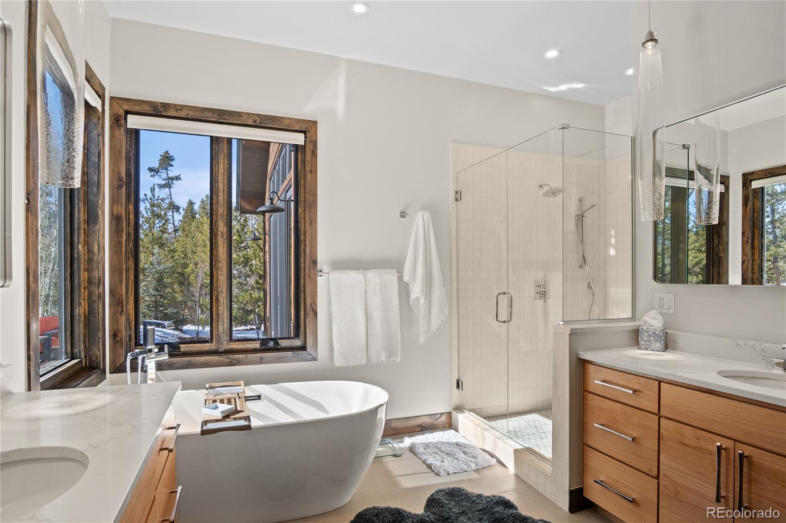 MLS Image #29 for 110  windflower lane,frisco, Colorado