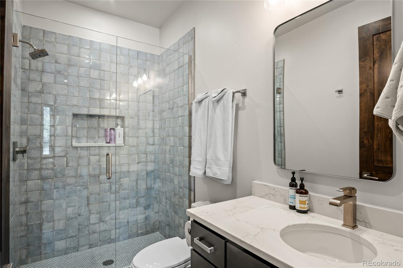 MLS Image #37 for 110  windflower lane,frisco, Colorado