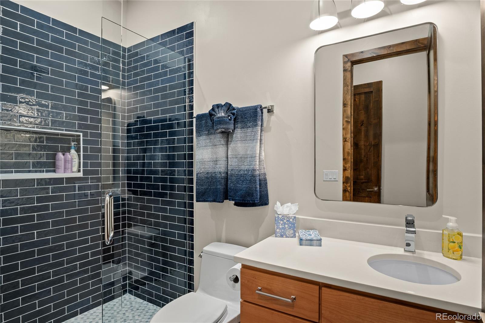 MLS Image #43 for 110  windflower lane,frisco, Colorado
