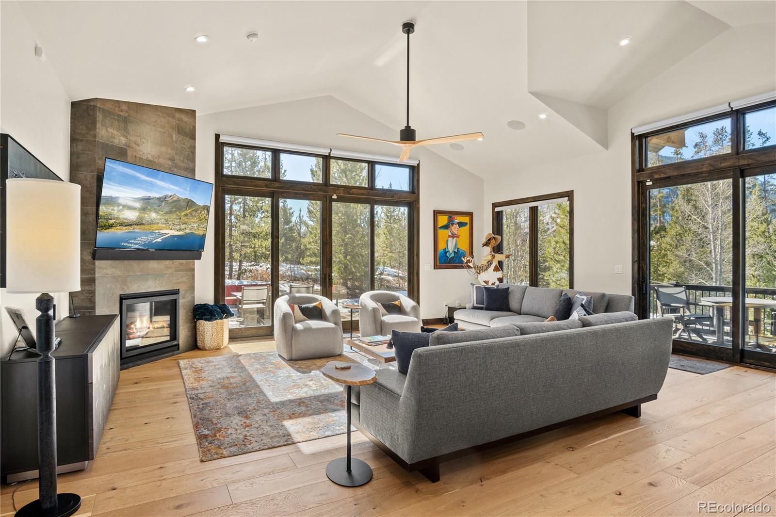 MLS Image #6 for 110  windflower lane,frisco, Colorado