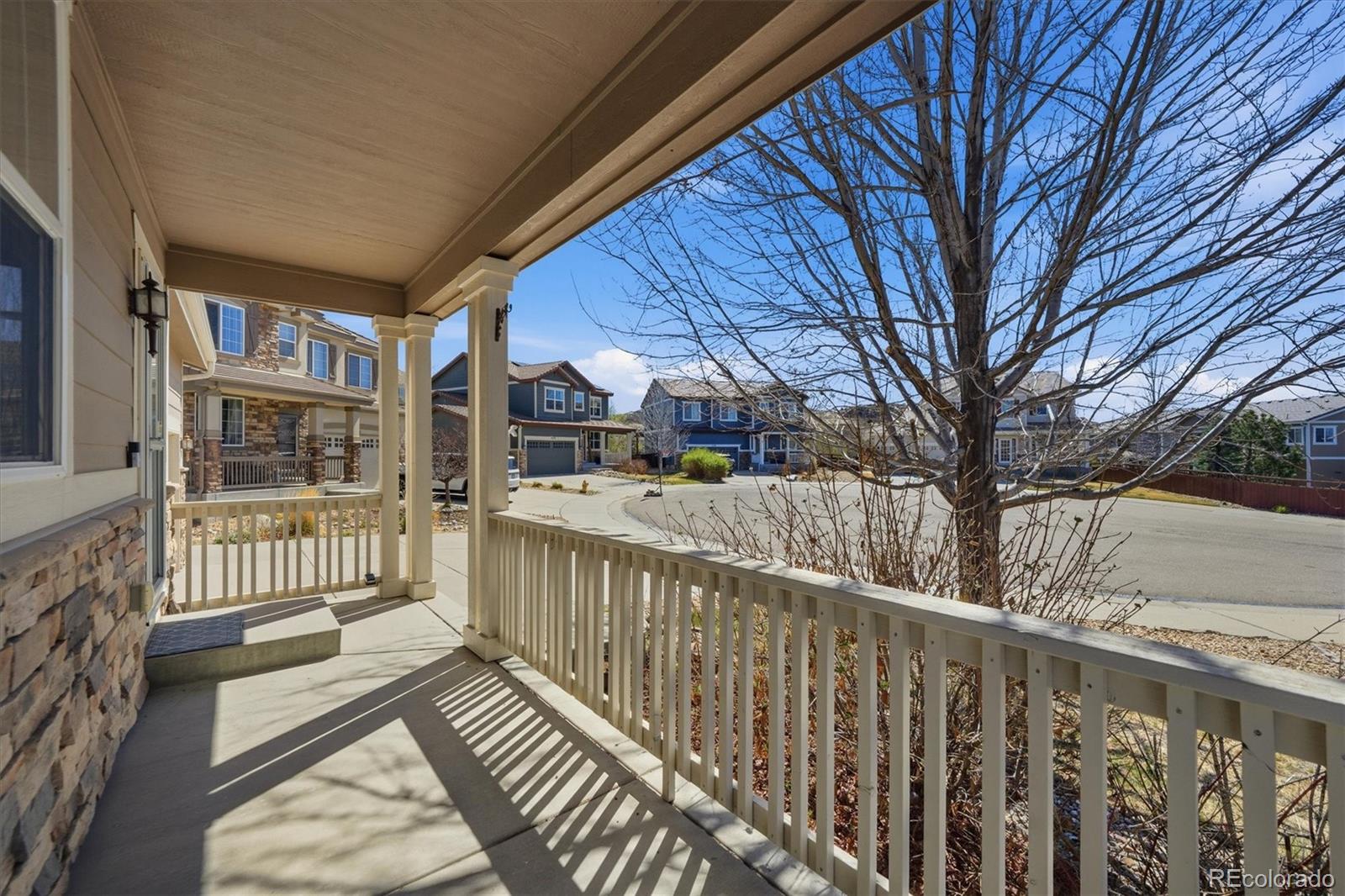 MLS Image #3 for 5185  lemon grass place,castle rock, Colorado