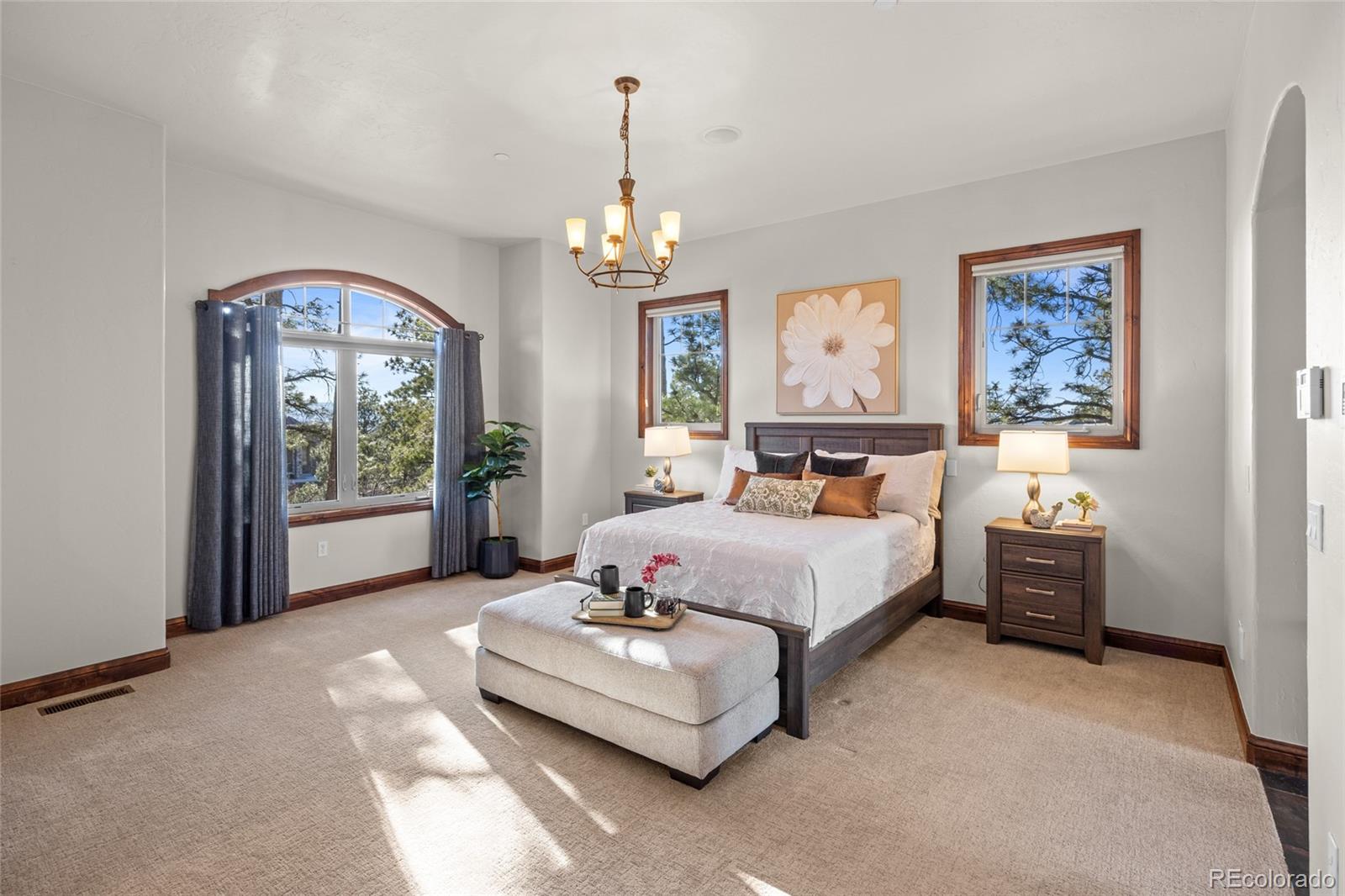 MLS Image #20 for 4604  tierra alta drive,castle rock, Colorado