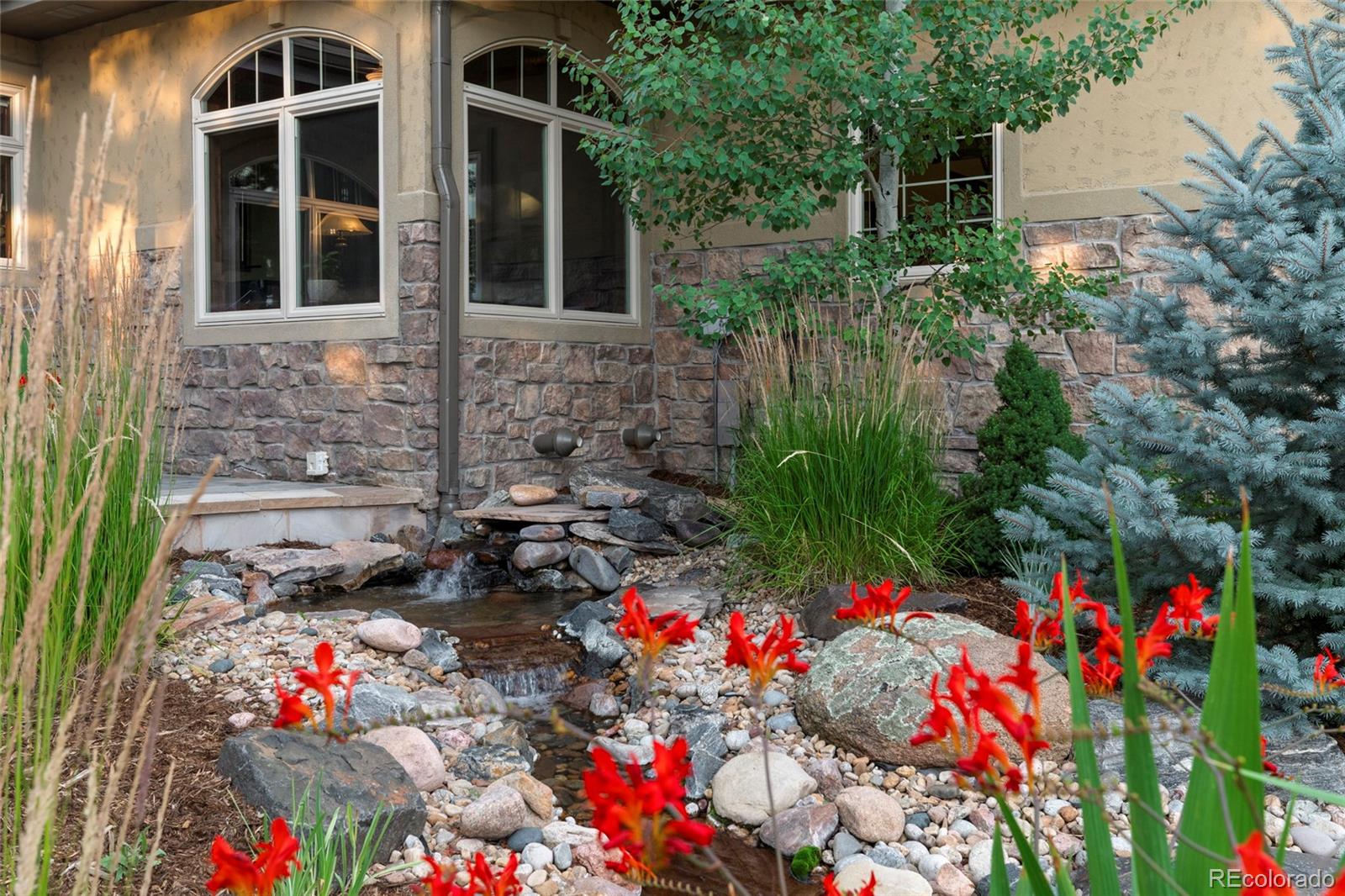 MLS Image #3 for 4604  tierra alta drive,castle rock, Colorado