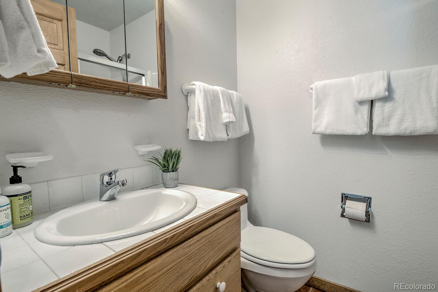 MLS Image #17 for 154  lakeside drive,fairplay, Colorado