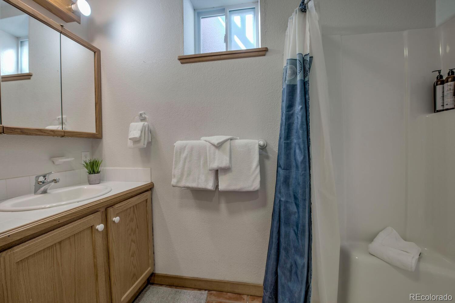 MLS Image #20 for 154  lakeside drive,fairplay, Colorado