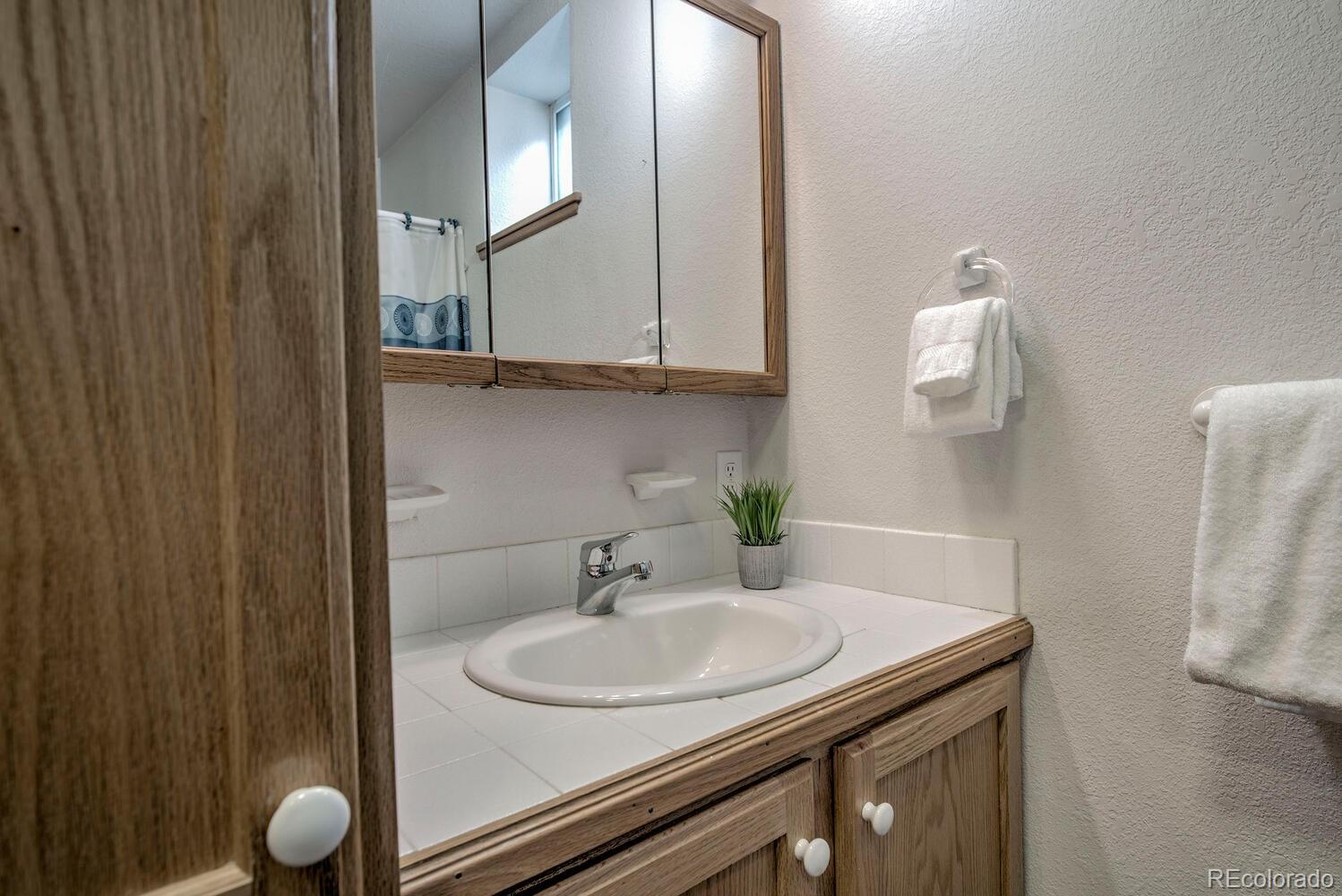 MLS Image #21 for 154  lakeside drive,fairplay, Colorado