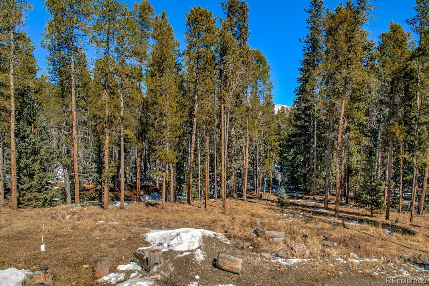MLS Image #23 for 154  lakeside drive,fairplay, Colorado