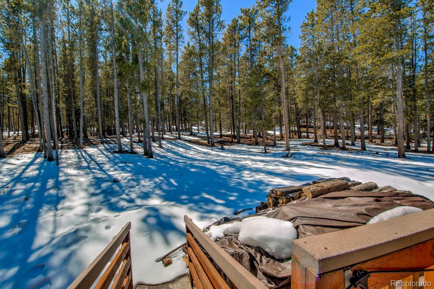 MLS Image #43 for 154  lakeside drive,fairplay, Colorado