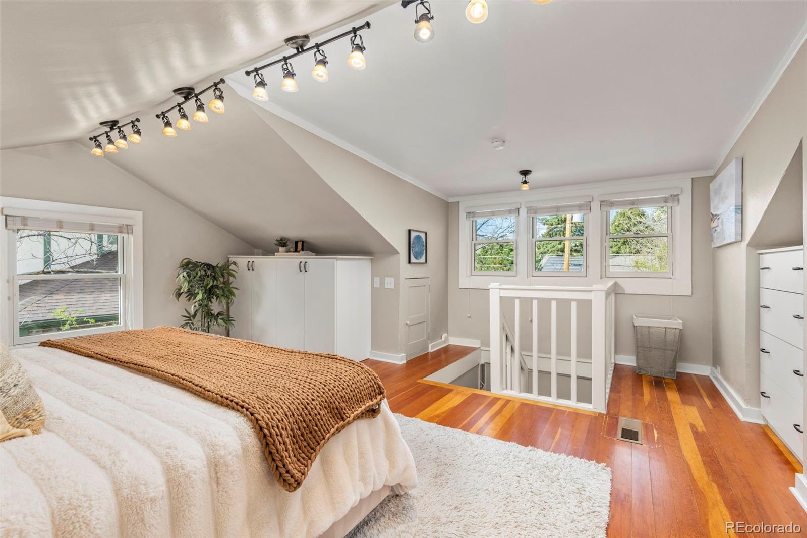 MLS Image #16 for 2257  ivanhoe street,denver, Colorado