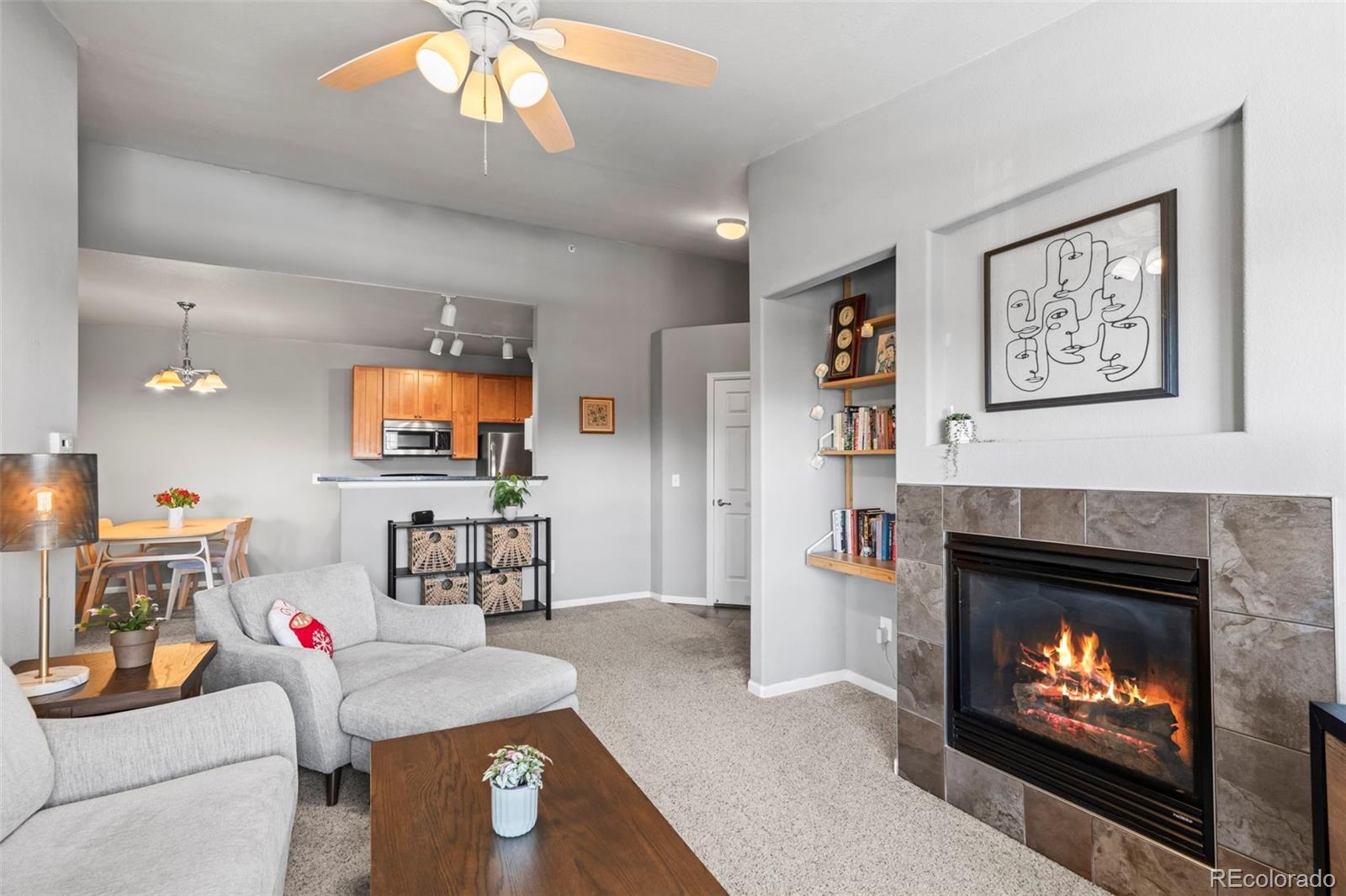 MLS Image #1 for 3000  blue sky circle,erie, Colorado