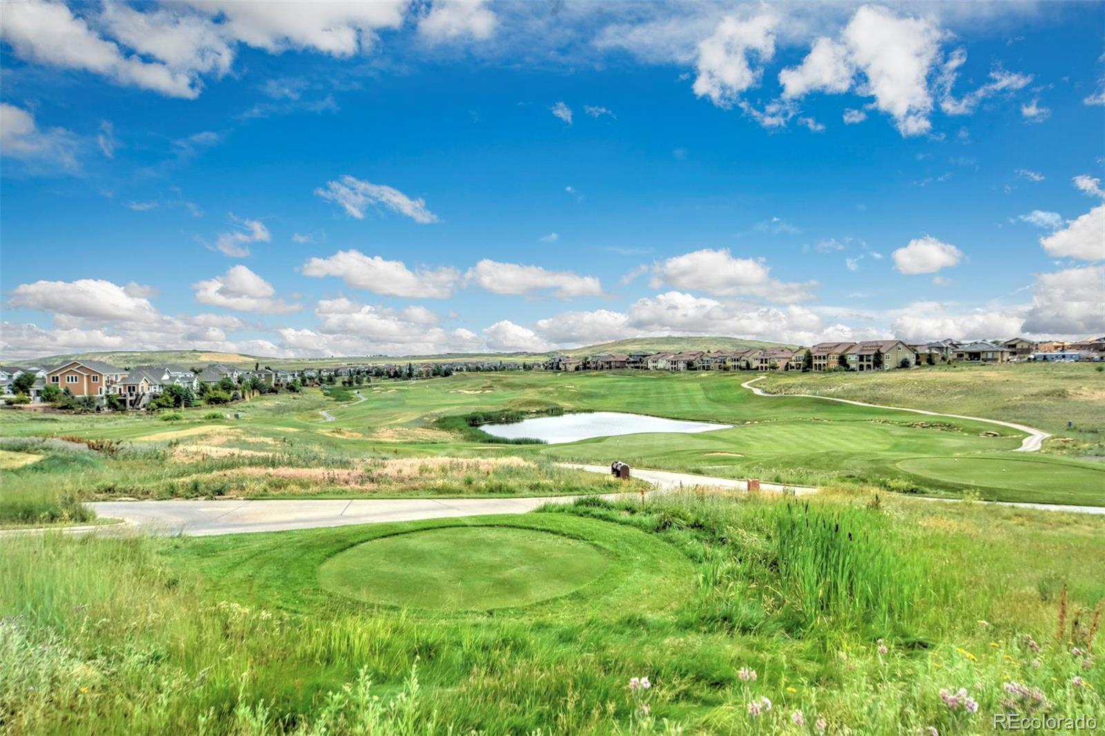 MLS Image #20 for 3000  blue sky circle,erie, Colorado