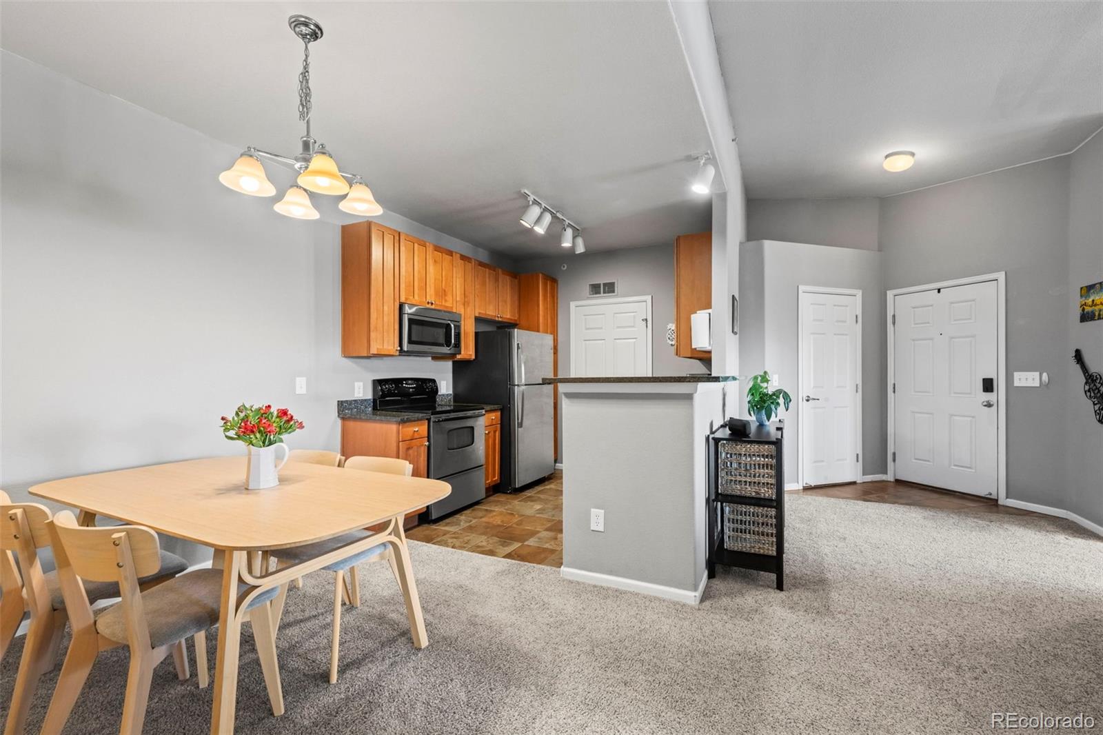 MLS Image #3 for 3000  blue sky circle,erie, Colorado