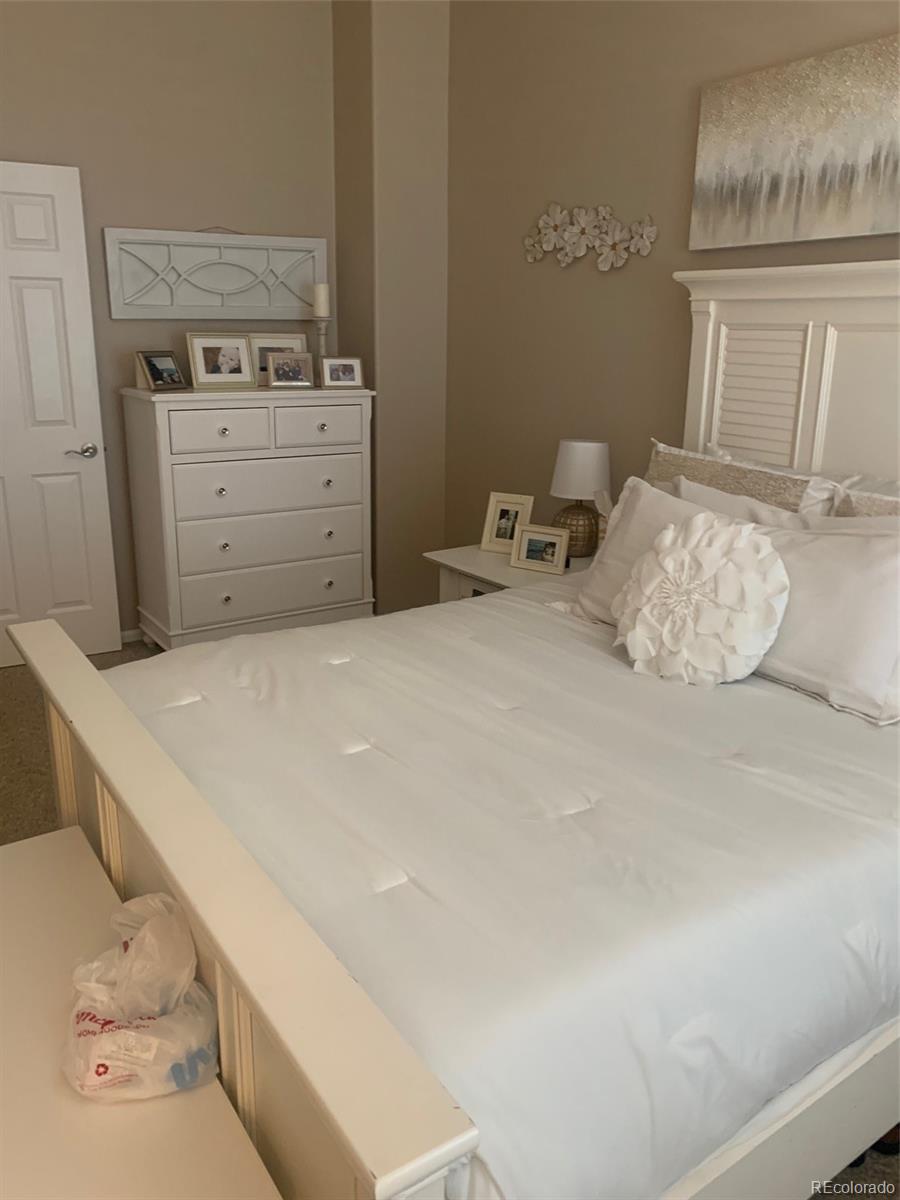 MLS Image #9 for 1377  royal troon drive,castle rock, Colorado