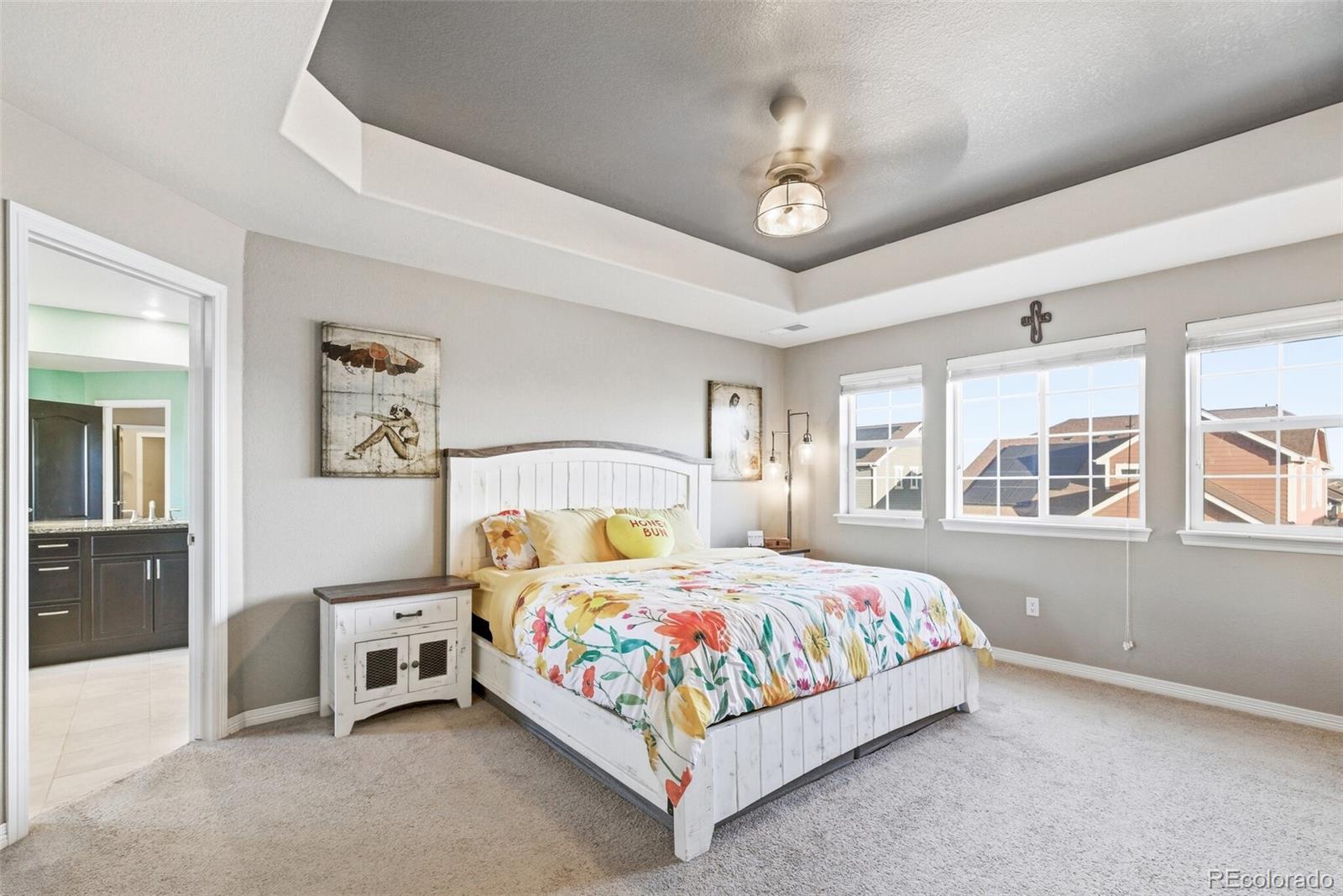 MLS Image #15 for 2763 e 161st place,thornton, Colorado