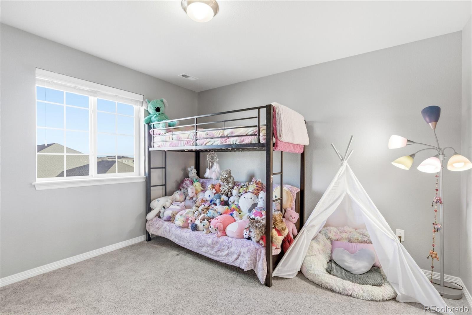 MLS Image #26 for 2763 e 161st place,thornton, Colorado