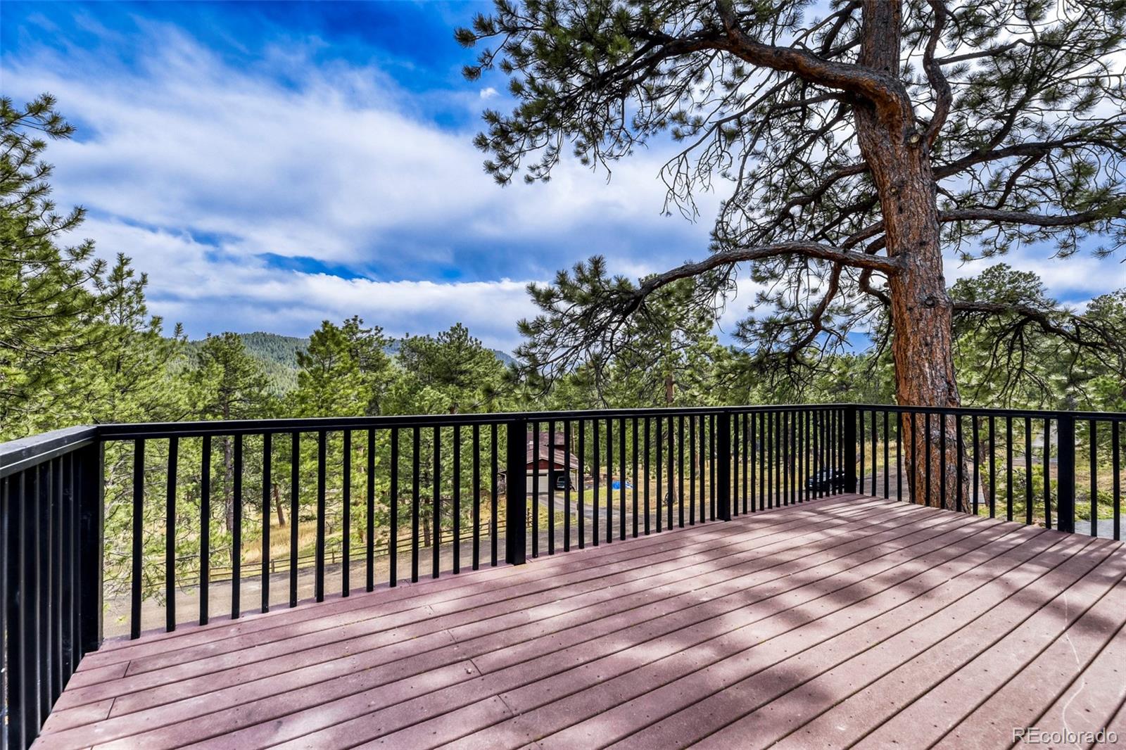 MLS Image #25 for 30171  marge lane,evergreen, Colorado