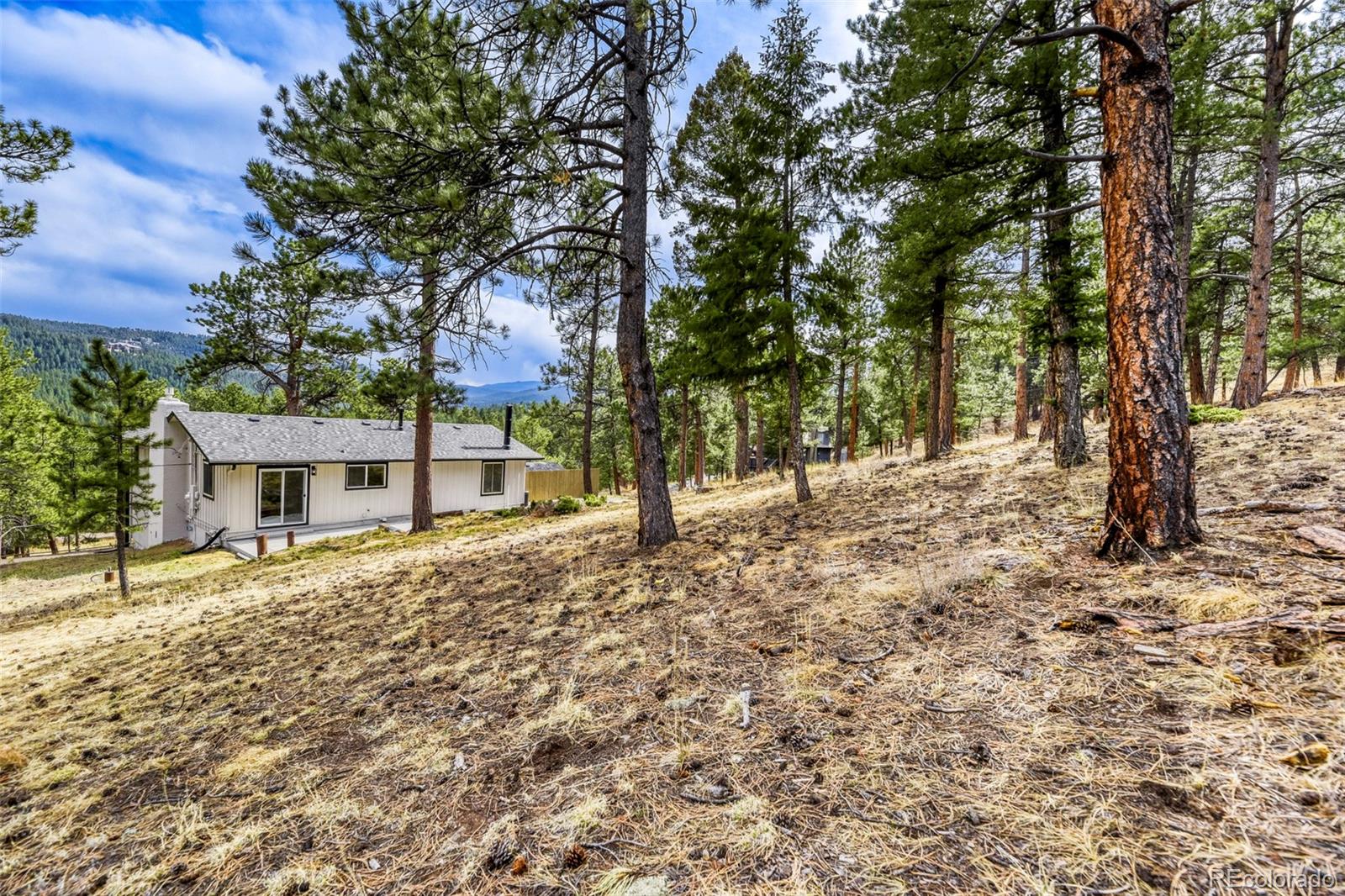 MLS Image #28 for 30171  marge lane,evergreen, Colorado