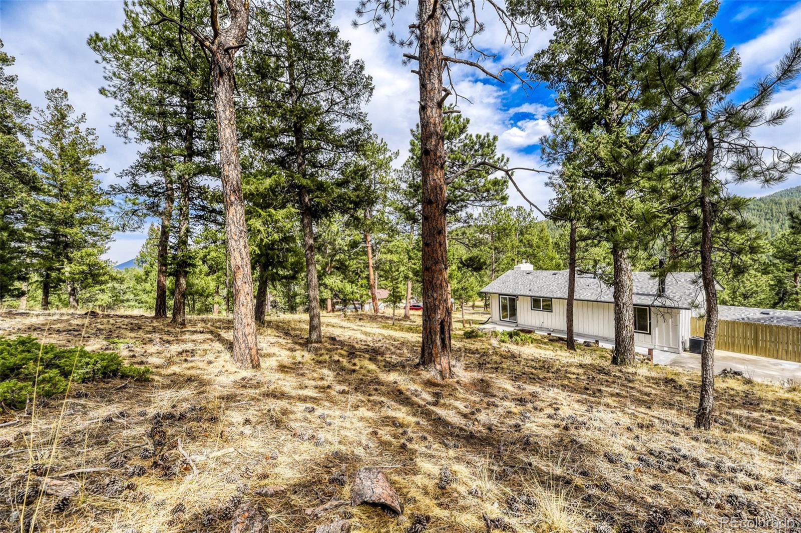 MLS Image #29 for 30171  marge lane,evergreen, Colorado