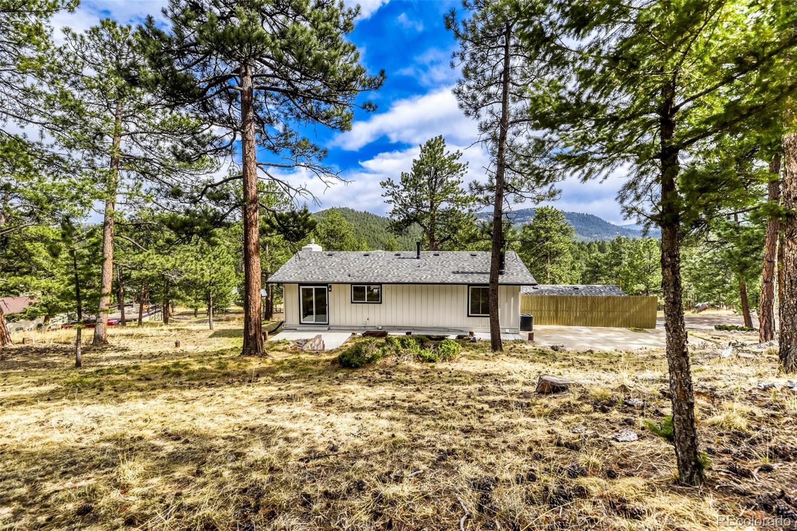 MLS Image #30 for 30171  marge lane,evergreen, Colorado