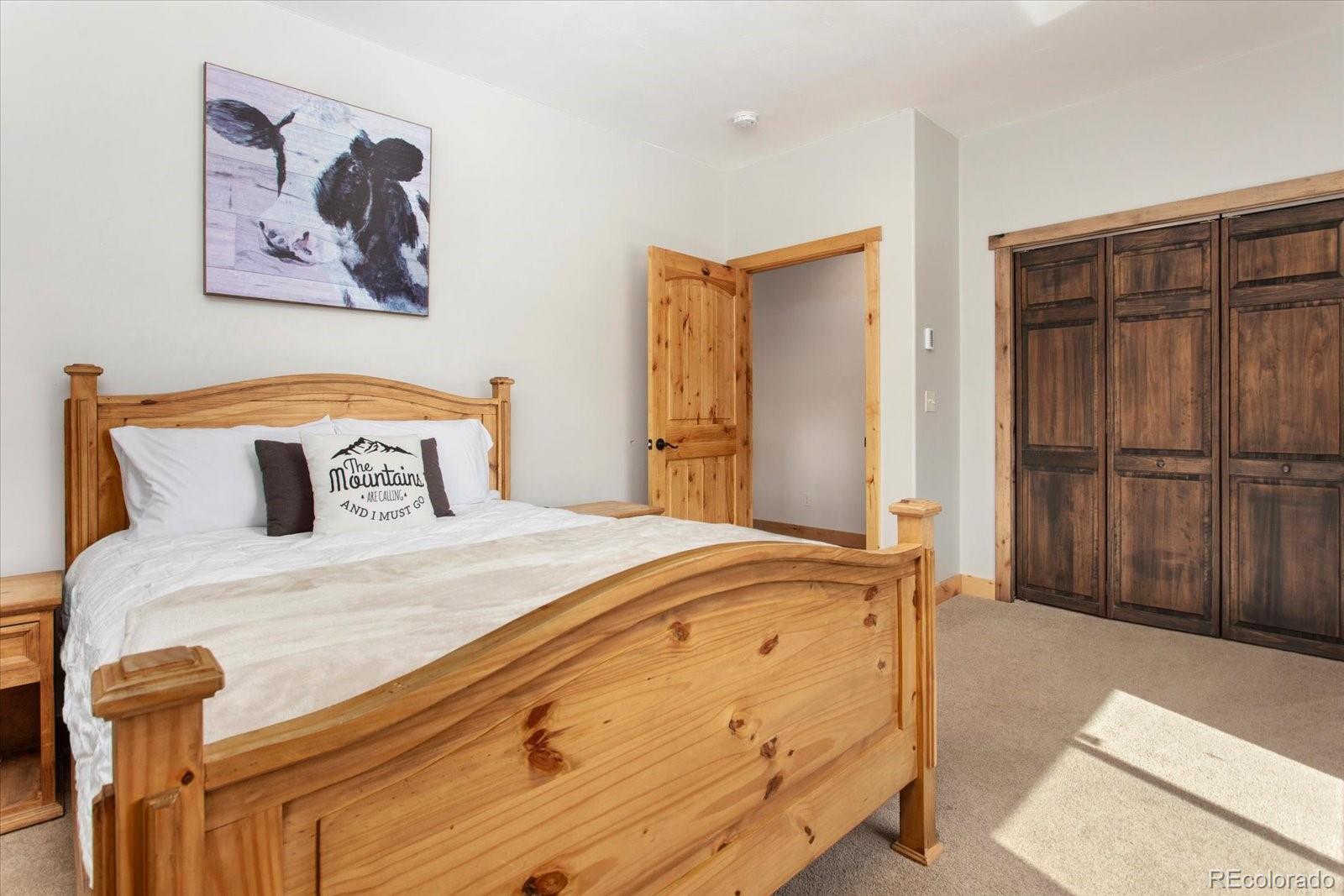 MLS Image #25 for 17158  county road 363 ,buena vista, Colorado