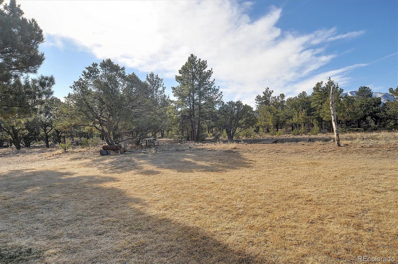 MLS Image #47 for 17158  county road 363 ,buena vista, Colorado