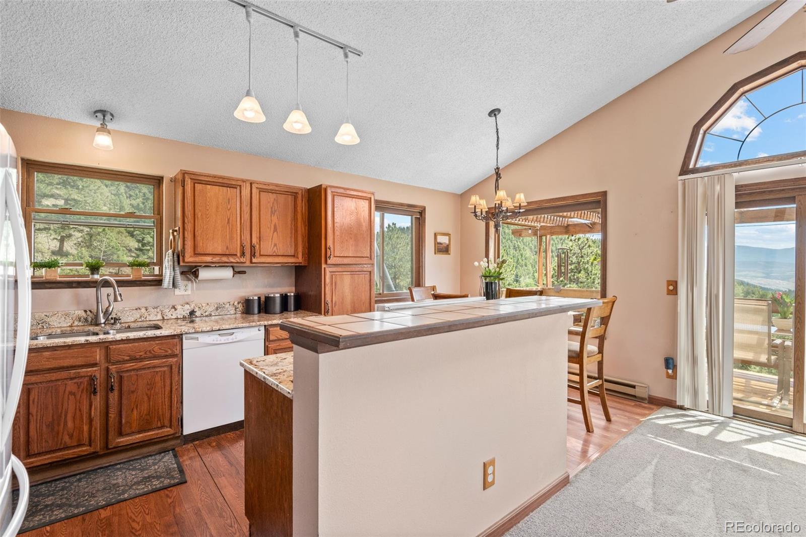 MLS Image #10 for 13976  wamblee trail,conifer, Colorado