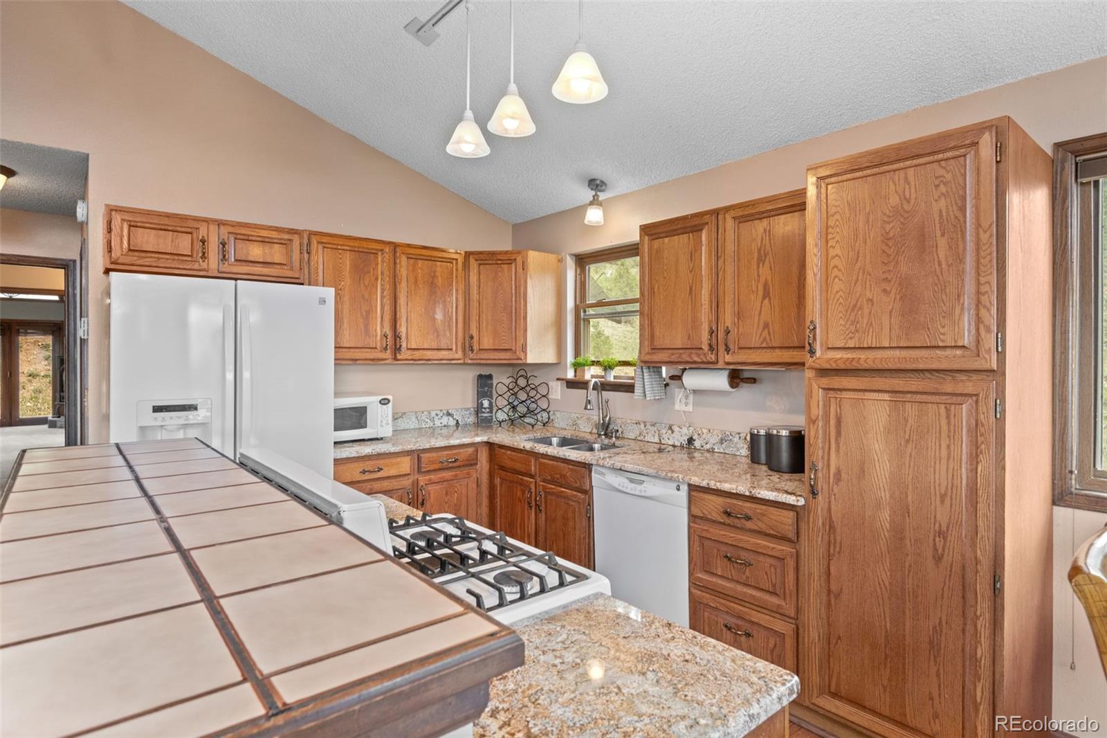 MLS Image #12 for 13976  wamblee trail,conifer, Colorado