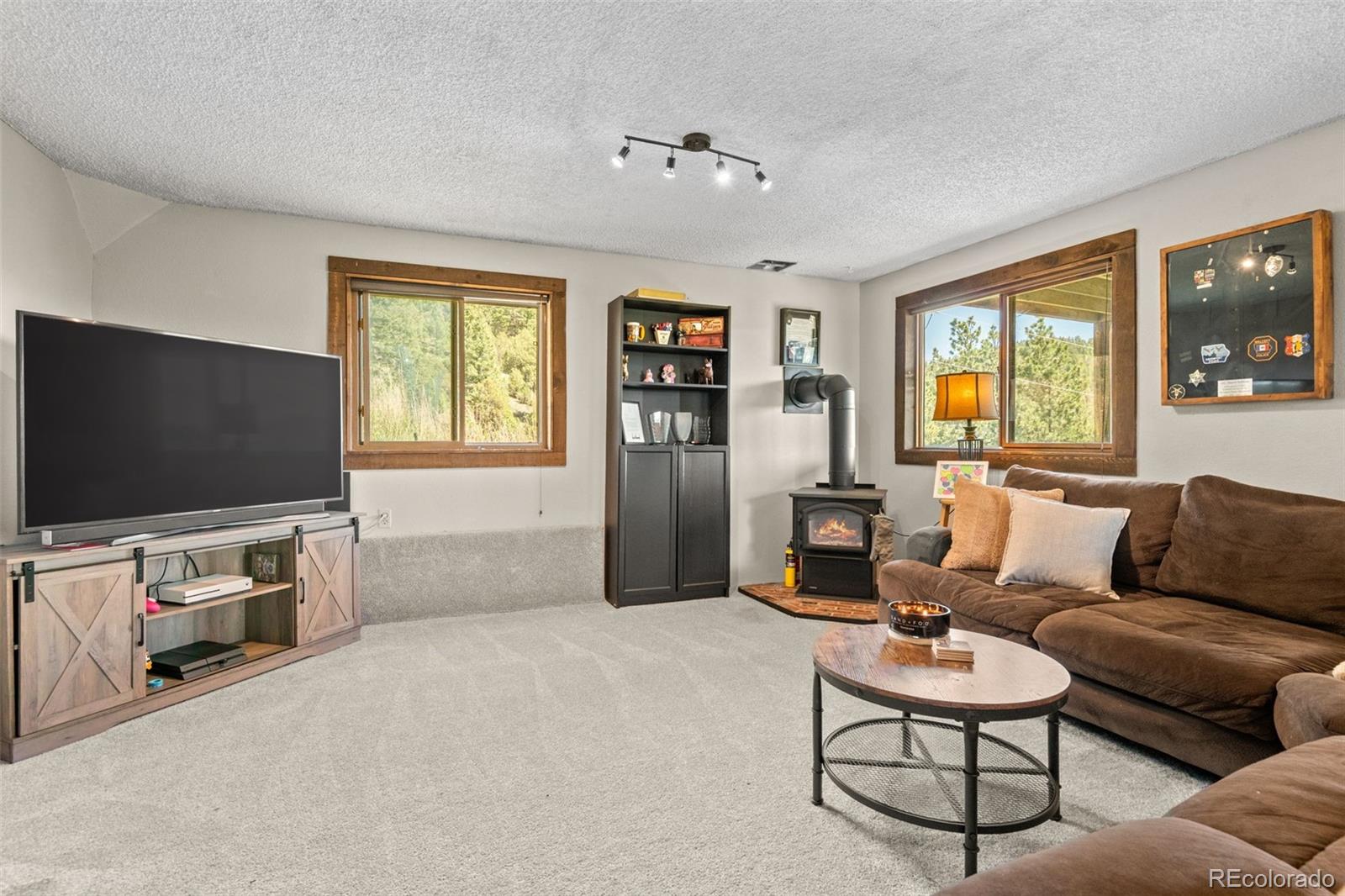 MLS Image #24 for 13976  wamblee trail,conifer, Colorado