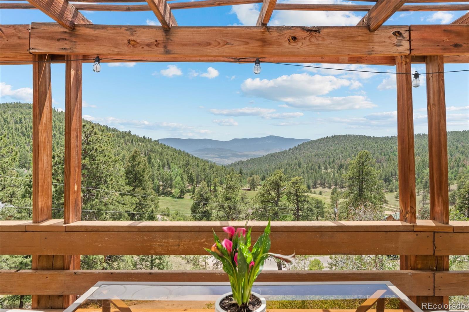 MLS Image #30 for 13976  wamblee trail,conifer, Colorado