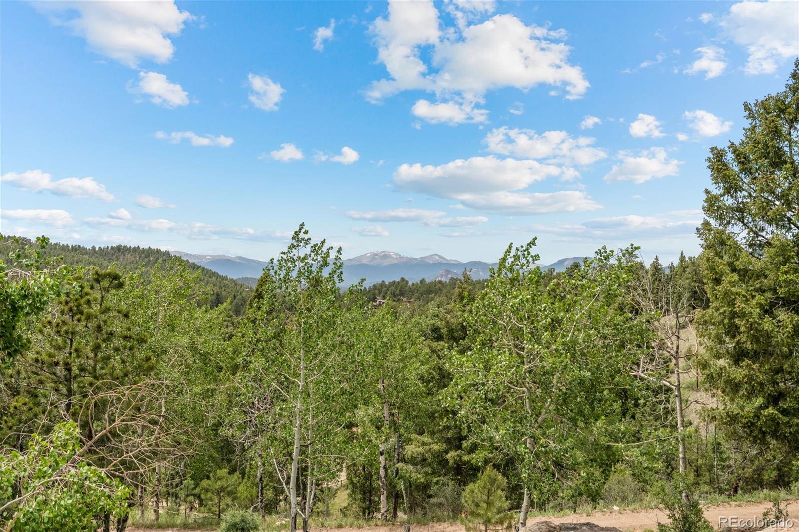 MLS Image #35 for 13976  wamblee trail,conifer, Colorado