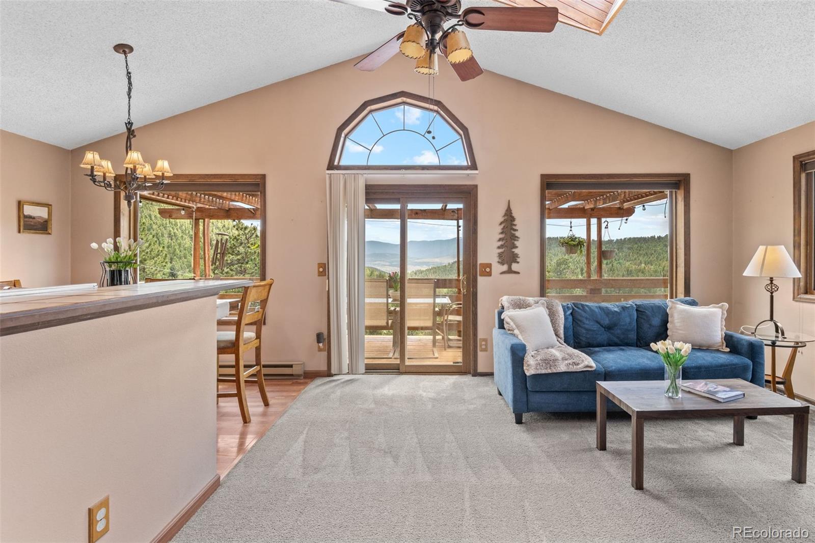 MLS Image #7 for 13976  wamblee trail,conifer, Colorado