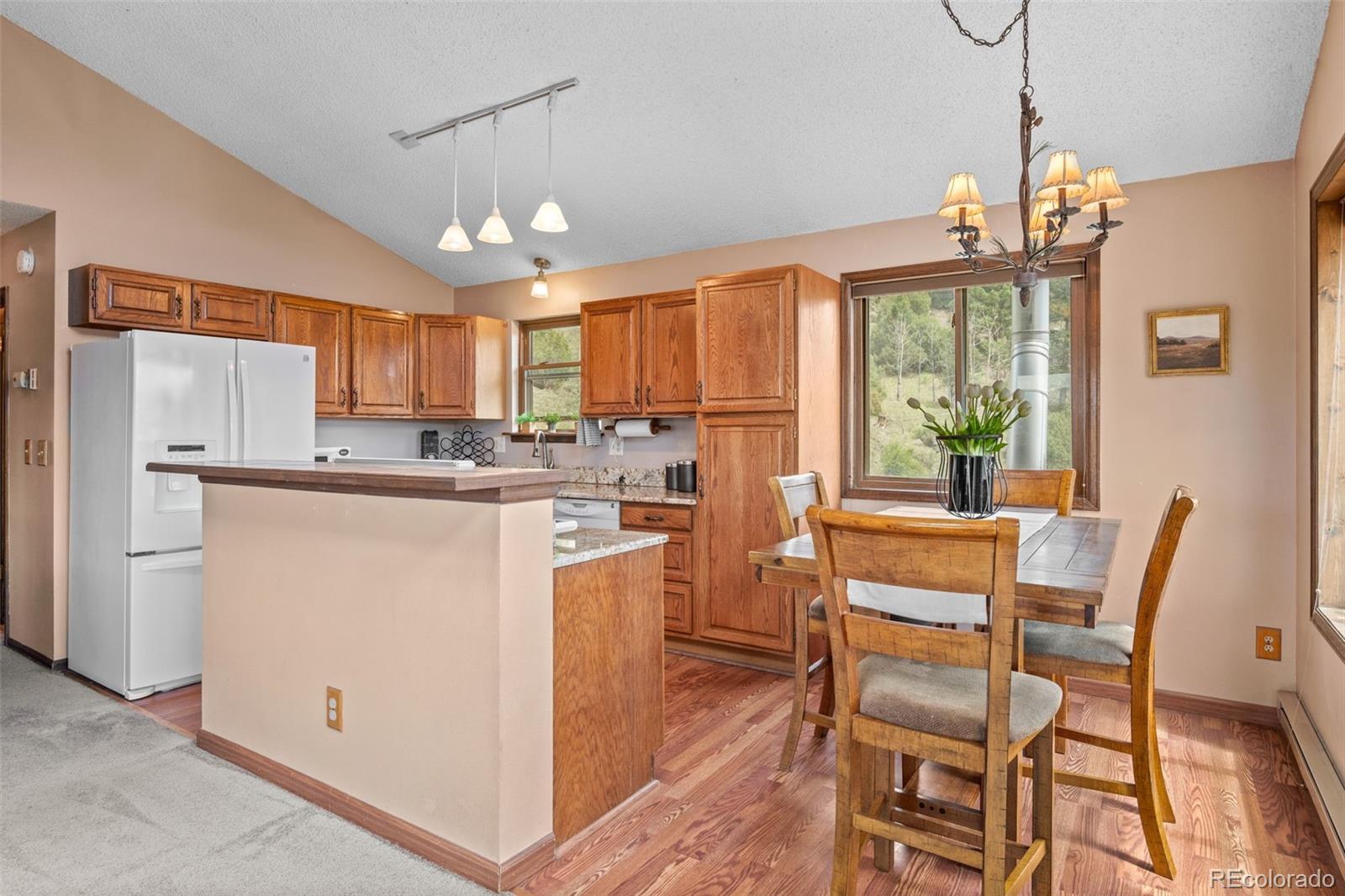 MLS Image #8 for 13976  wamblee trail,conifer, Colorado