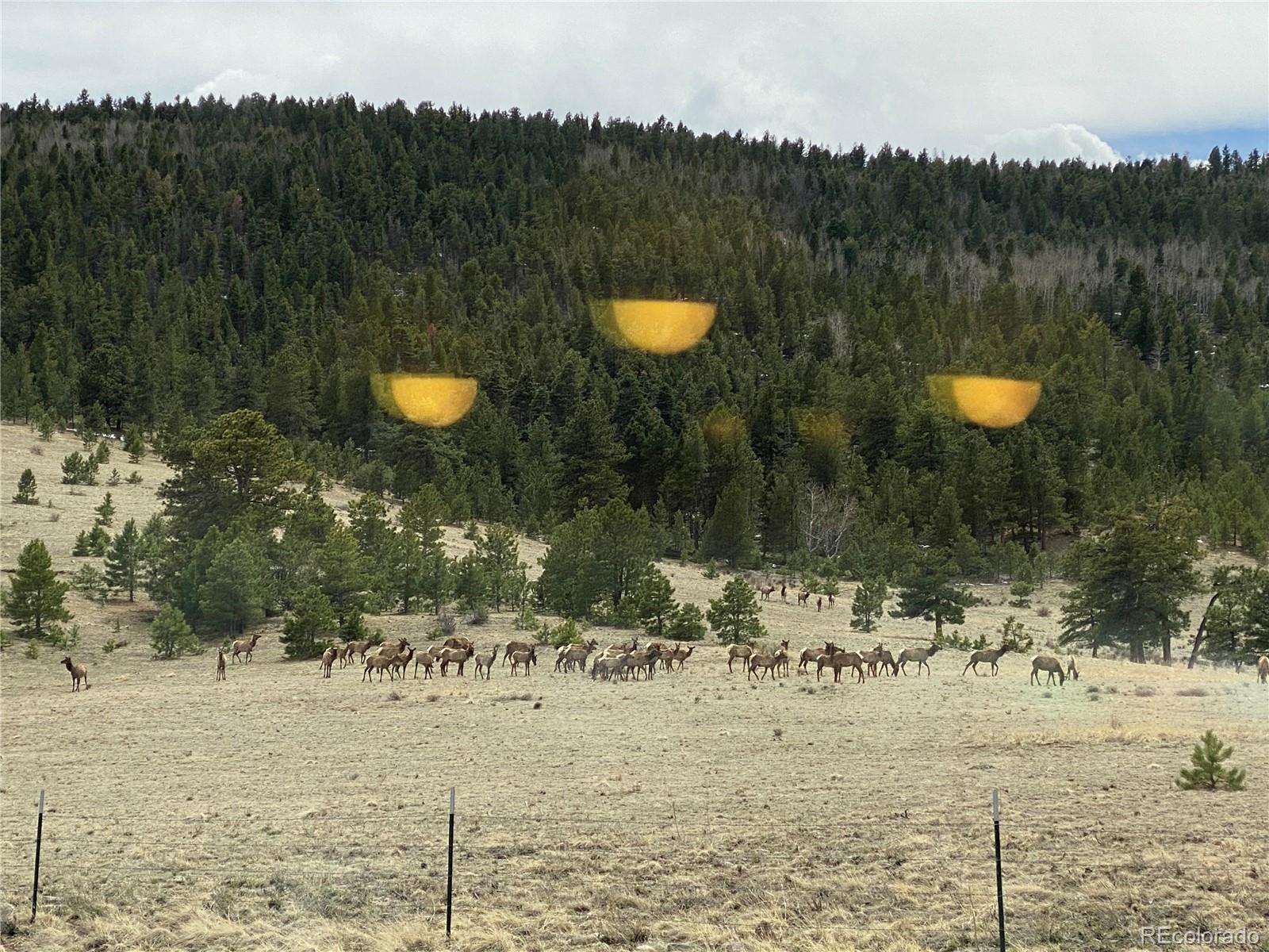 MLS Image #49 for 324  elk view court,canon city, Colorado