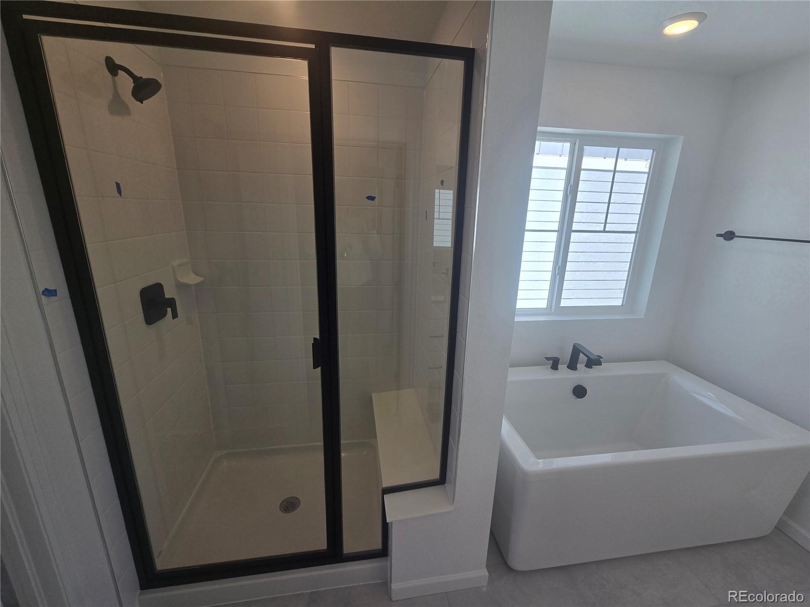 MLS Image #4 for 8742  yellowcress street,littleton, Colorado