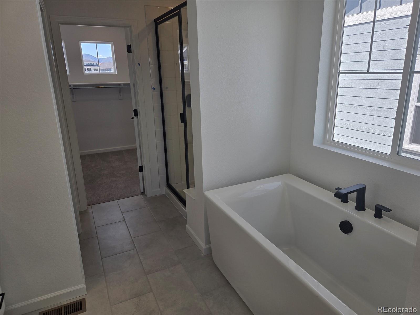 MLS Image #5 for 8742  yellowcress street,littleton, Colorado
