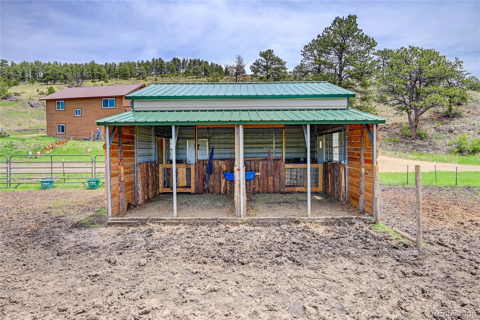 MLS Image #15 for 99  peak drive,guffey, Colorado