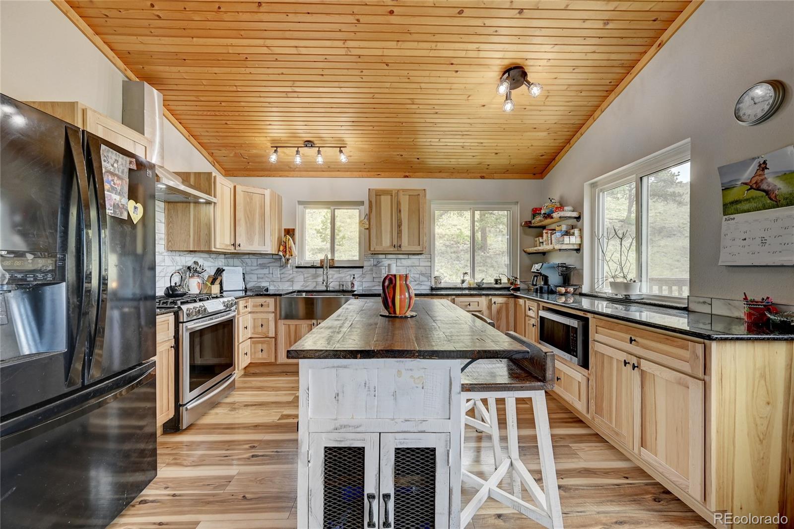 MLS Image #5 for 99  peak drive,guffey, Colorado
