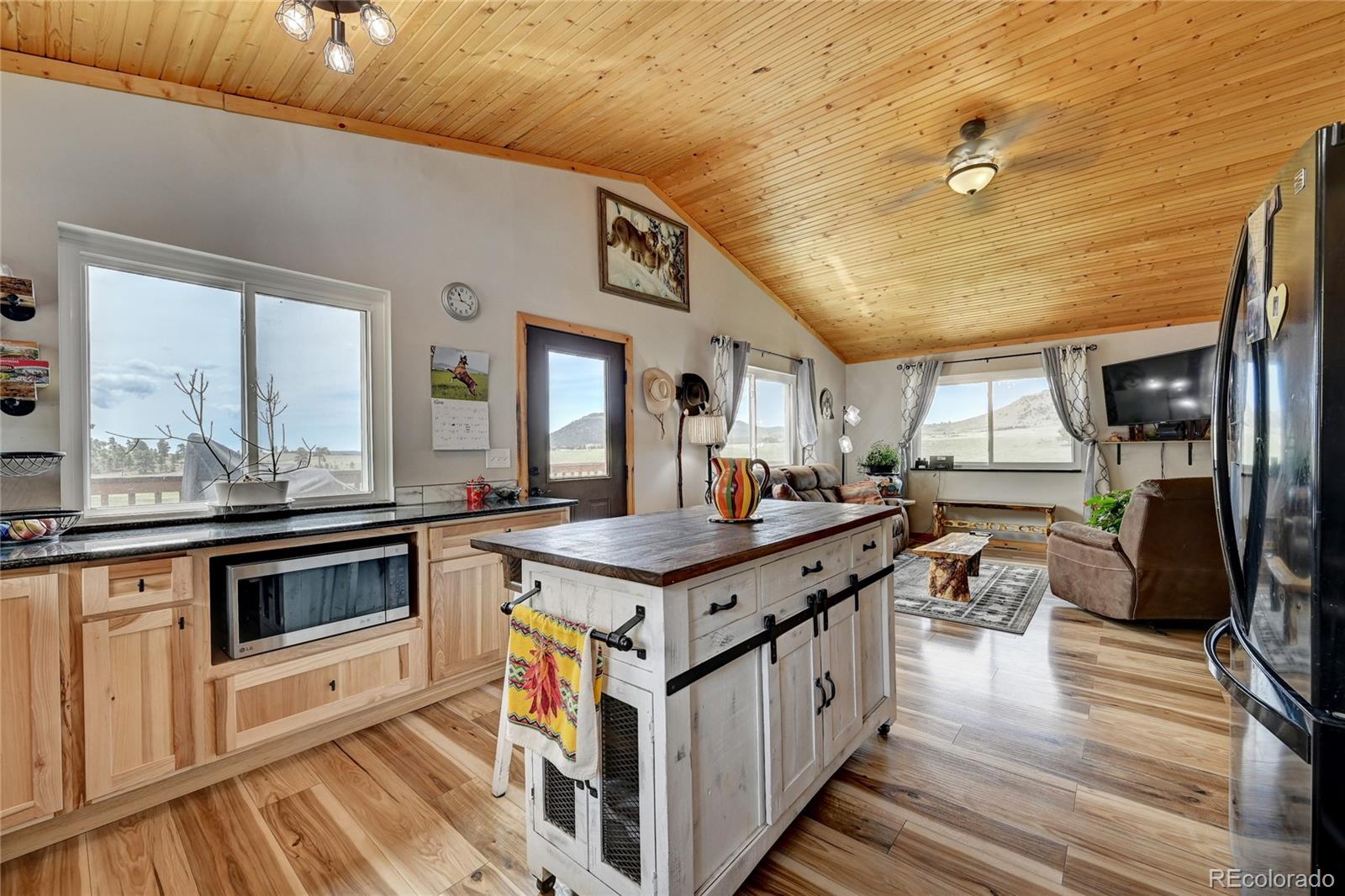 MLS Image #7 for 99  peak drive,guffey, Colorado