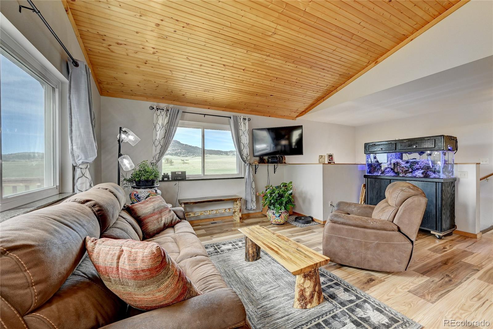 MLS Image #8 for 99  peak drive,guffey, Colorado