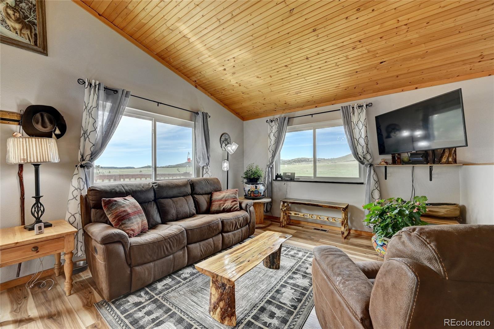 MLS Image #9 for 99  peak drive,guffey, Colorado