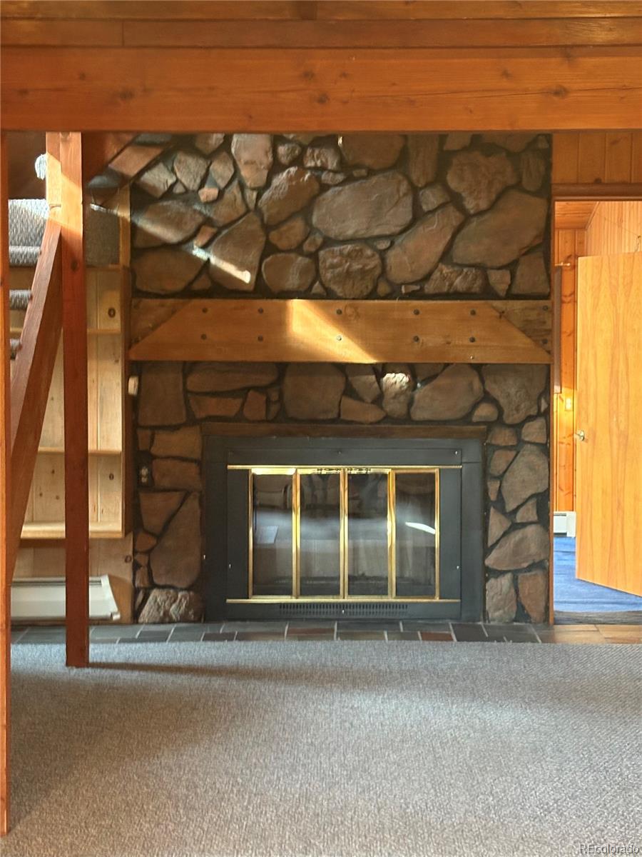 MLS Image #11 for 3137  meadow view road,evergreen, Colorado