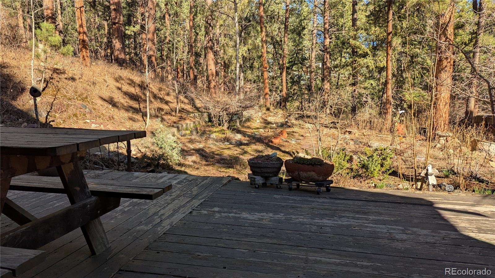 MLS Image #17 for 3137  meadow view road,evergreen, Colorado