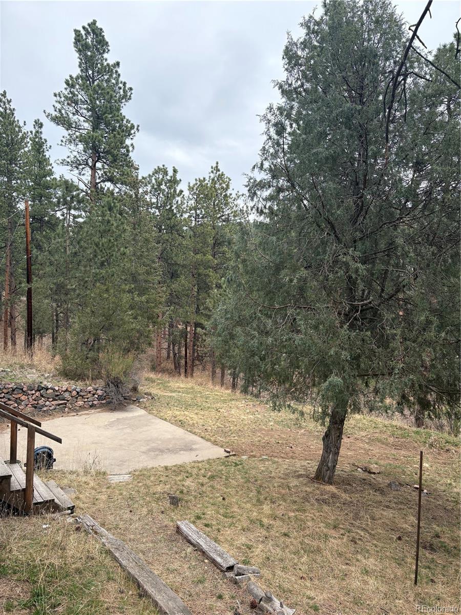 MLS Image #21 for 3137  meadow view road,evergreen, Colorado