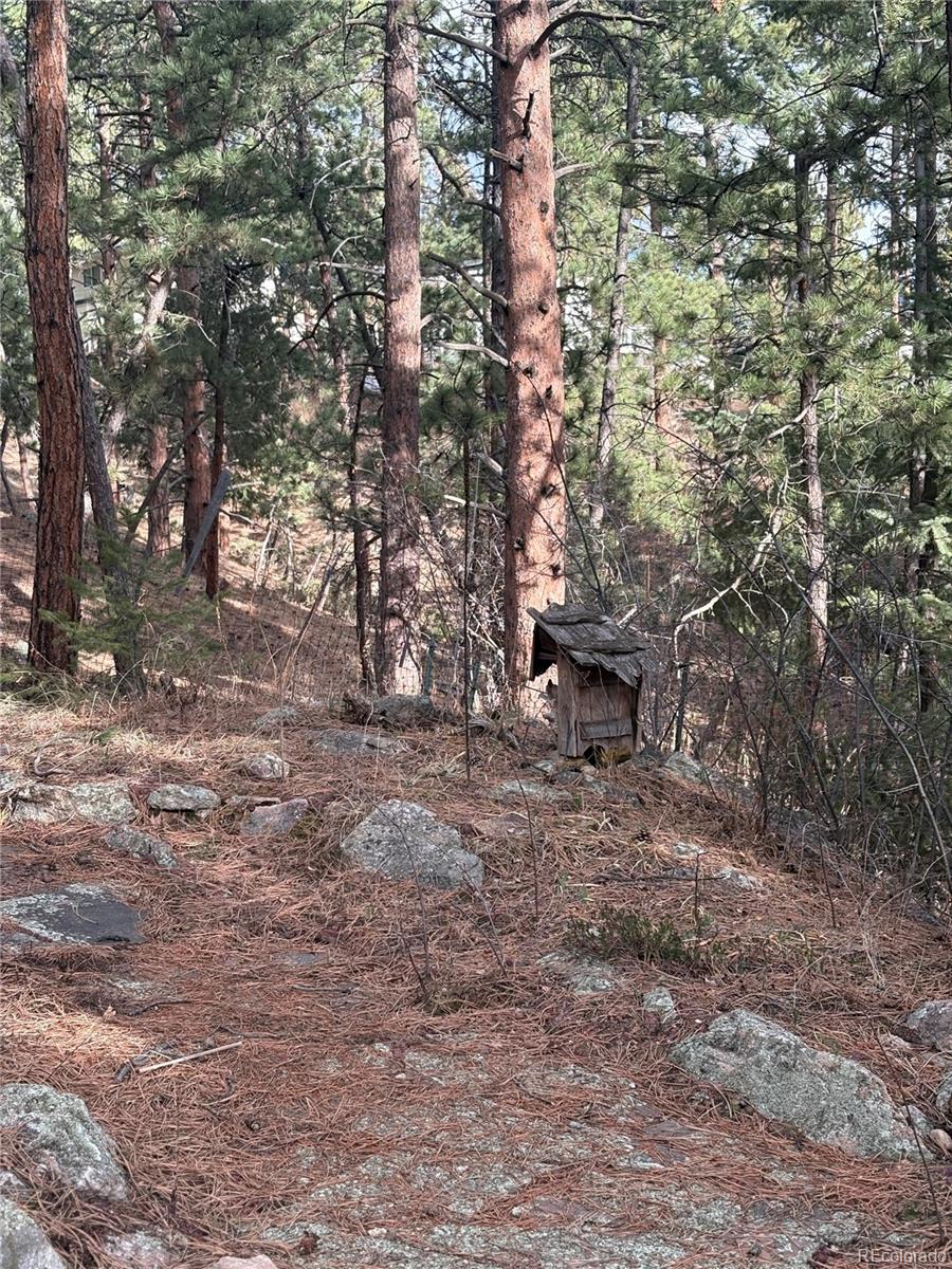 MLS Image #22 for 3137  meadow view road,evergreen, Colorado