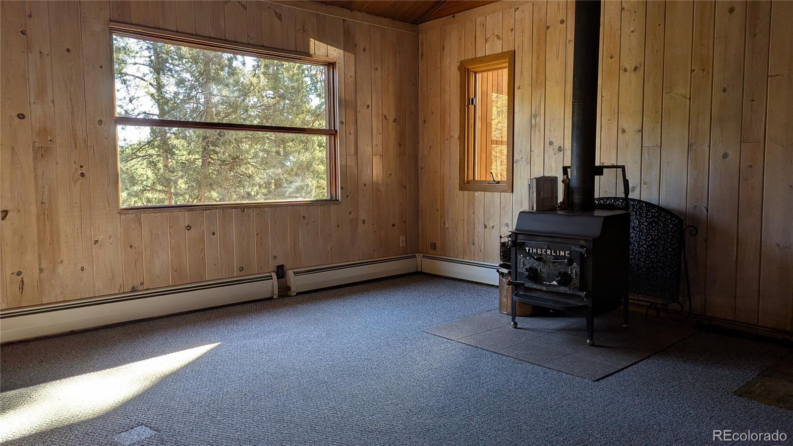MLS Image #7 for 3137  meadow view road,evergreen, Colorado