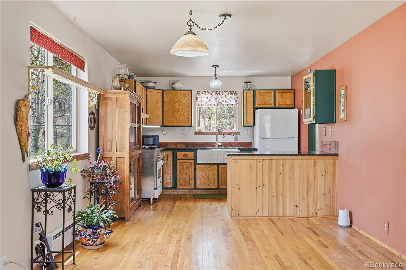 MLS Image #4 for 398  aspen drive,bailey, Colorado