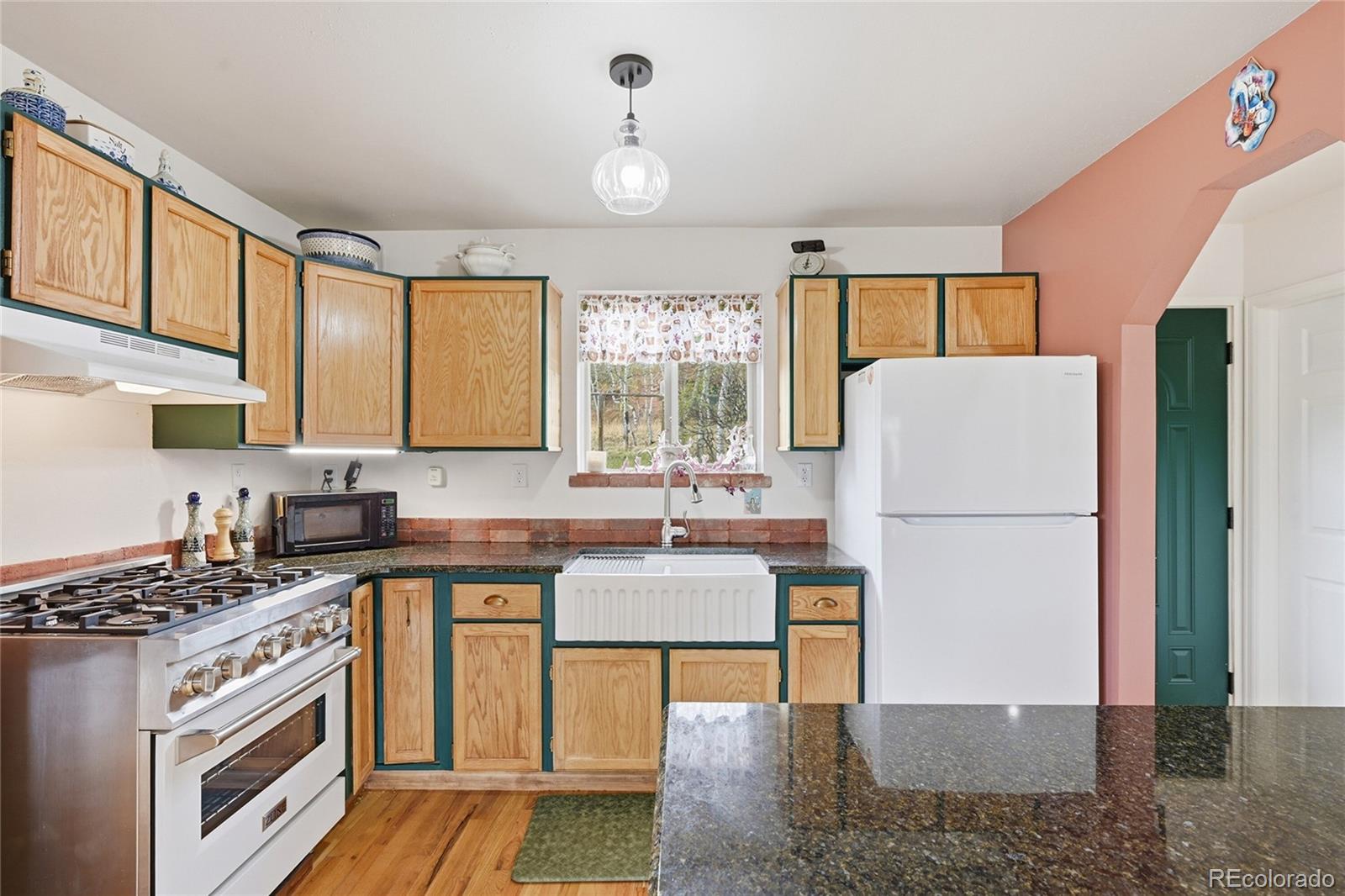 MLS Image #5 for 398  aspen drive,bailey, Colorado