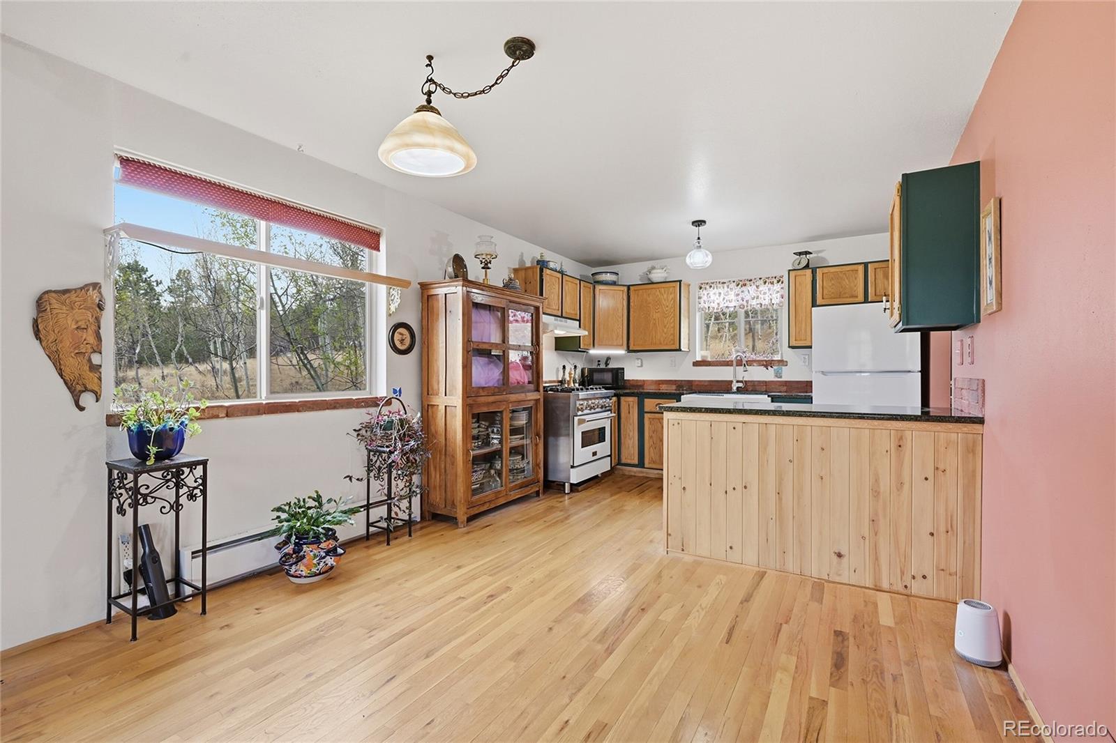 MLS Image #6 for 398  aspen drive,bailey, Colorado