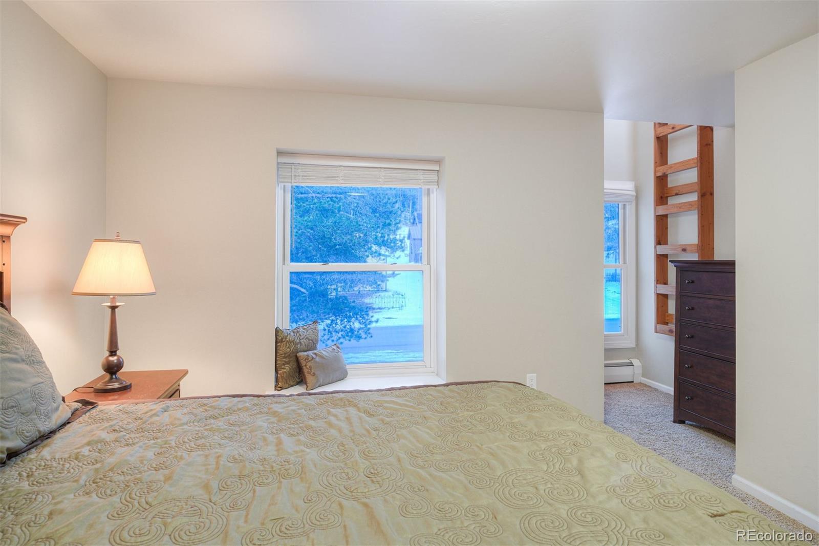 MLS Image #15 for 105 s high street,breckenridge, Colorado