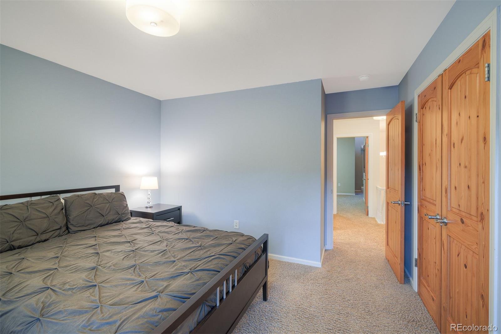 MLS Image #19 for 105 s high street,breckenridge, Colorado